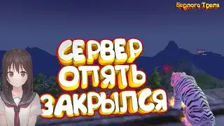 Сервер опять закрылся. Perfect World