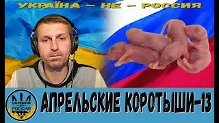 Апрельские коротыши-13 [24/04/23]