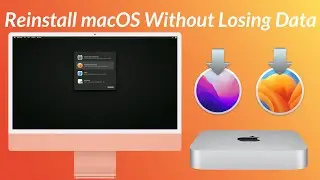 How To Reinstall macOS Without Losing Data