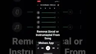 How To Remove Instrumental or Vocal From Song