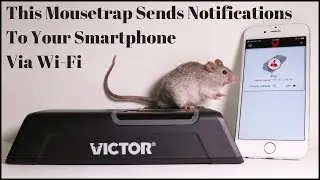 High Tech Mousetrap That Sends Notifications To Your Smartphone - Victor Smart Electronic Mousetrap.