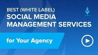 Best White Label Social Media Services | DesignRush Trends