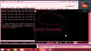 hPing3 Lab with using kali linux tutorial step by step