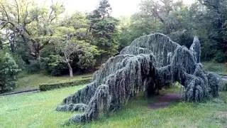 Массандровский парк. Храм св.Николая Чудотворца.