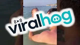 Beachgoing Baby Belly Laughing || ViralHog