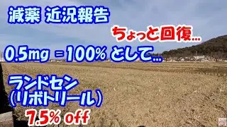 【減薬】 ランドセン（リボトリール） 7.5％ off 【体調ちょっと回復..😓】　　／ パニック障害、うつ　　　／ 0.5mg=100%として