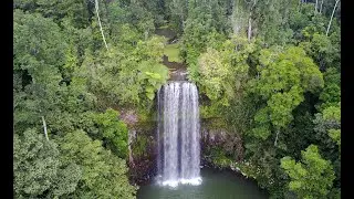 Let's Learn about Tropical Rainforests! #tropicalrainforest #rainforest