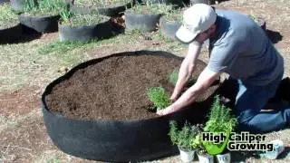 Raised Bed Gardening in Smart Pots