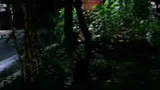 bakar setan