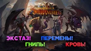 Воины Хаоса. Разбор юнитов и механик фракций Total War Warhammer 3