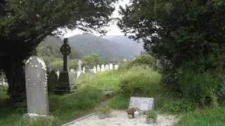 Irish Descendants - The Dublin Reel