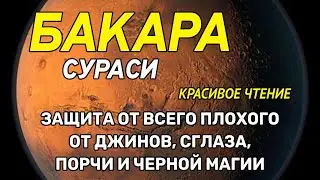 🕌Бакара Сураси. Красивое чтение. Защита от всего плохого, джиннов и шайтанов.