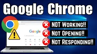 How To Fix Google Chrome Not Working in Windows 10/11