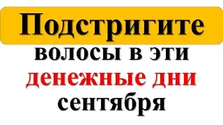 Самые денежные и благоприятные дни стрижки волос в сентябре 2024 года. Лунный календарь стрижек