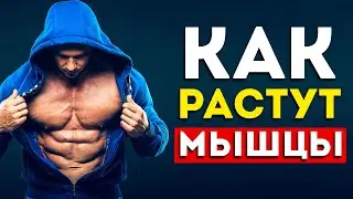 Каждый спортсмен должен знать это: Рост мышц по науке