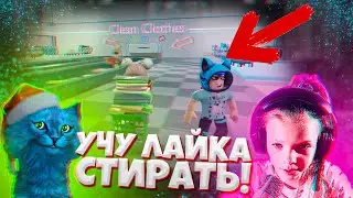 КОТЁНОК ЛАЙК СТИРАЕТ ЧУЖИЕ ВЕЩИ в Роблокс! Roblox Laundry Simulator DashaKeksik