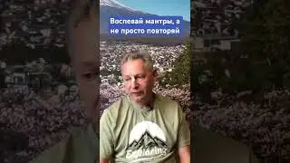 Воспевай мантры, а не просто повторяй #ВасилийТушкин #ВраджендраКумар #VrajendraRu #shorts #веды