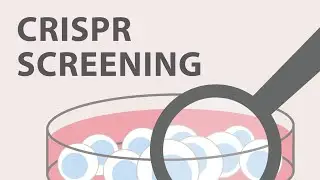 5) CRISPR Cas9 - Screening and Validation Strategies