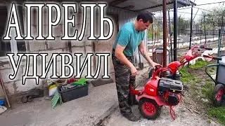 ВСЁ В ЦВЕТУ, А БУДЕТ ПРОК?