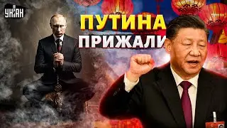 Путин отдался Си Цзиньпину! Фиаско деда в Китае: Китай требует ПЕРЕГОВОРОВ. Мирный саммит решит ВСЕ