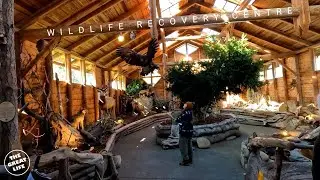 NORTH ISLAND WILDLIFE RECOVERY CENTRE | COOMBS | VANCOUVER ISLAND