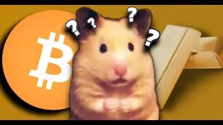 ЗОЛОТЫЕ ГОРЫ НА HAMSTER KOMBAT?ИЛИ ОБМАН ОТ ИНФОЦЫГАН?