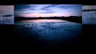 Canon Eos 1Ds MkIII Sample Shots