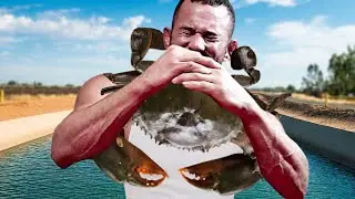 I caught Crabs at an Airbnb