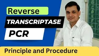 Reverse Transcriptase PCR - it's principle and procedure (Animation)