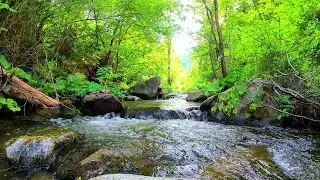 Звуки природы / Журчание ручья / шум воды / ручей