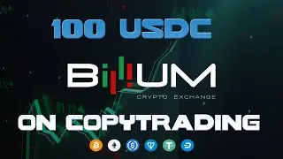 100 USDC Бонус на Копитрейдинг | Биржа Billium