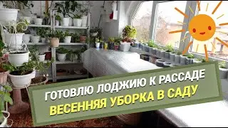 🌷 Весенняя уборка в саду🌷Переставили пруд/Готовлю лоджию к рассаде@SubTatiana