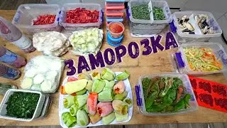 ЗАМОРОЗКА ОВОЩЕЙ 🥕👍Как правильно заморозить овощи на зиму