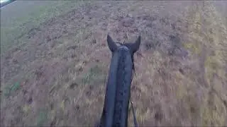 The Readyfield Bloodhounds Hunt Meet & FALL! (GoPro HeadCam)