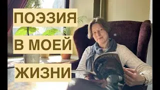 КНИЖНЫЕ ПОДАРКИ И КНИЖНОЕ КАФЕ.Лавра на закате. 