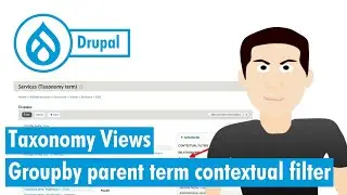 Drupal taxonomy view, group by parent terms with contextual filters