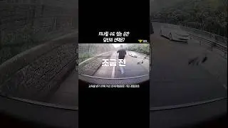 지나칠 수도 있는 순간 당신의 선택은? #shorts