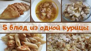 5 БЛЮД ИЗ ОДНОЙ КУРИЦЫ | Экономное Меню | Блюда из Курицы