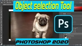 Adobe photoshop 2020 Object selection tool