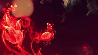 Flaming Rose With Smokey Effect, Loop Background For Free Use | VFX FOOTAGE