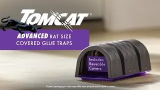 How to Use Tomcat Advance Glue Trap System