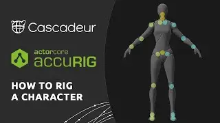 AccuRIG to Cascadeur - How to Rig a Character