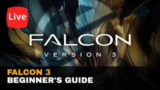 Live: UVI Falcon 3 - Beginners Guide