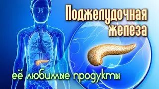 ПРОДУКТЫ ДЛЯ ЗДОРОВЬЯ ПОДЖЕЛУДОЧНОЙ ЖЕЛЕЗЫ