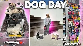 DOG DAY VLOG!🐾 24 часа ВМЕСТЕ! Прогулка, Зоомагазин и ПЕРВЫЙ ШОПППИНГ в Лента С СОБАКАМИ!🐶