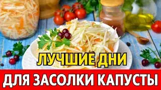 АПРЕЛЬ-МАЙ 2024 - когда солить капусту, чтобы была очень вкусной. Лучшие даты по лунному календарю!