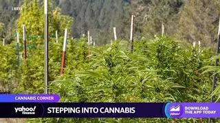 Cannabis industry will ‘grow to $70 billion by 2030,’ LBRTE founder says