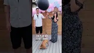 He was so proud of himself at the end 😅