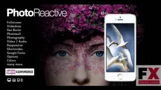 Preview PhotoReactive - Fullscreen Studio for WordPress TFor