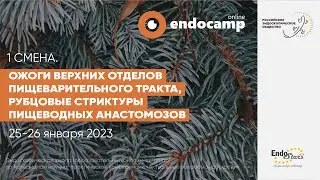 ОЖОГИ ВЕРХНИХ ОТДЕЛОВ ПИЩЕВАРИТЕЛЬНОГО ТРАКТА.РУБЦОВЫЕ СТРИКТУРЫ ПИЩЕВОДНЫХ АНАСТОМОЗОВ